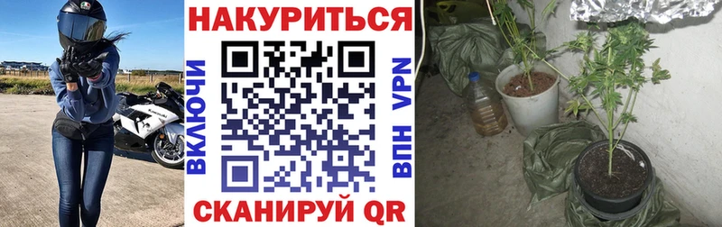 Конопля марихуана  Вичуга 